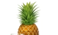 Ananas a cukrovka